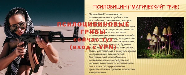 первитин Володарск