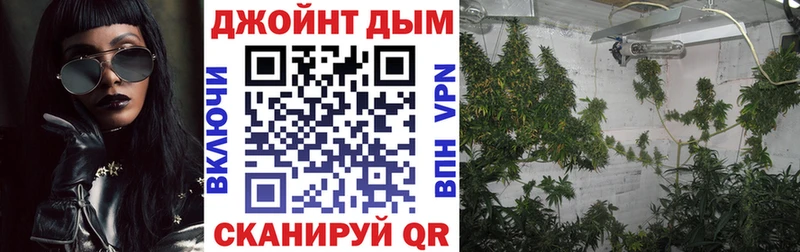 Конопля планчик  Ноябрьск 